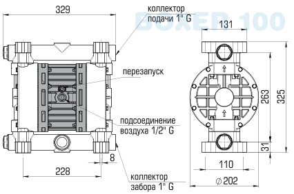 Размеры Deben Boxer 100